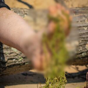 Beach Foot Photos Seaweed and Sand 1