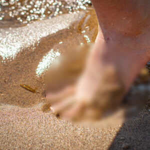 Beach Foot Photos Sun and Sand 2